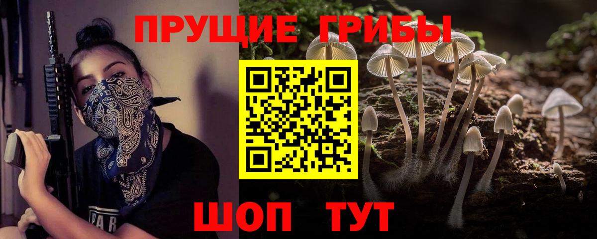 Псилоцибиновые грибы MAGIC MUSHROOMS Среднеуральск
